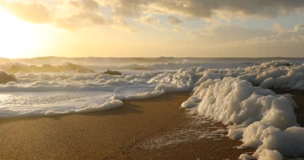 夕暮れ時のビーチで海水の攪拌によって作成された海の泡の波 — ストック動画