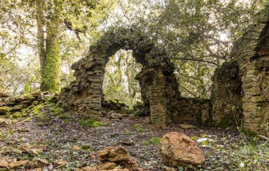 Veillon ormanda, Talmont Saint-Hilaire (Vendee, Fransa eski bir şapel kalıntıları)