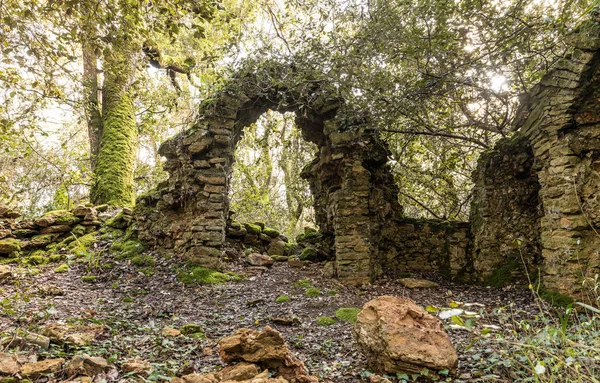 Veillon ormanda, Talmont Saint-Hilaire (Vendee, Fransa eski bir şapel kalıntıları)