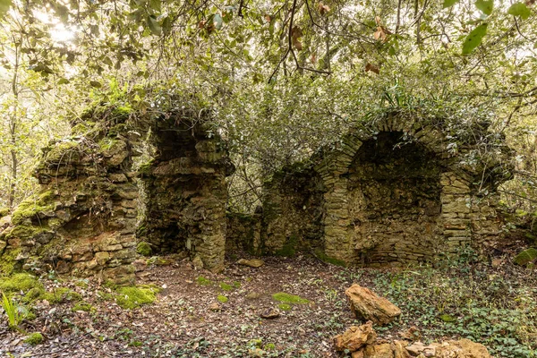 Veillon ormanda, Talmont Saint-Hilaire (Vendee, Fransa eski bir şapel kalıntıları)