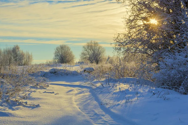 Paesaggio Innevato Invernale Con Cielo Sole Foresta — Foto Stock