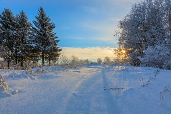 Paisagem Neve Inverno Com Céu Sol Floresta — Fotografia de Stock