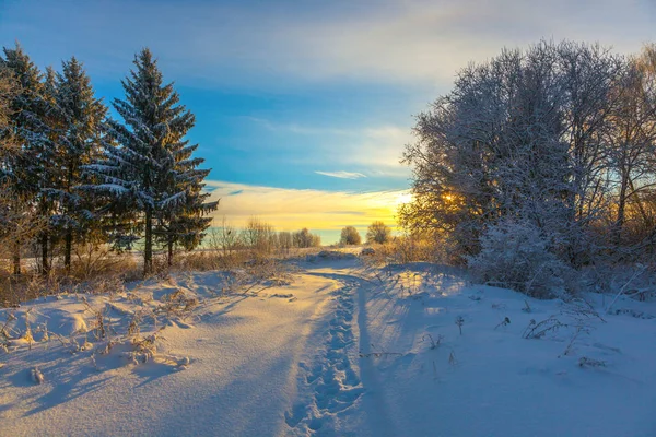 Paisagem Neve Inverno Com Céu Sol Floresta — Fotografia de Stock