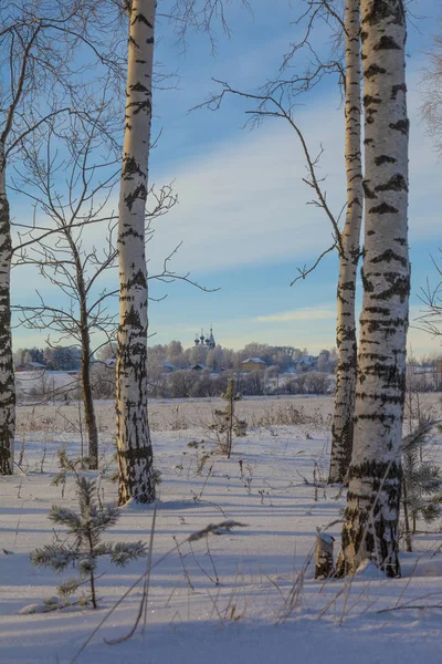 Kirkko Kukkulalla Valkoisen Lumikentän Takana — kuvapankkivalokuva