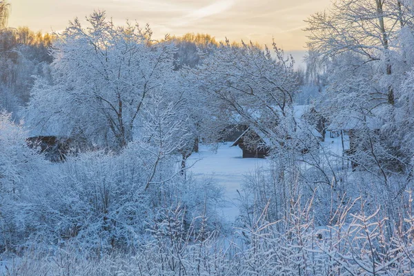 夕焼け空の雪に覆われた森の村 — ストック写真