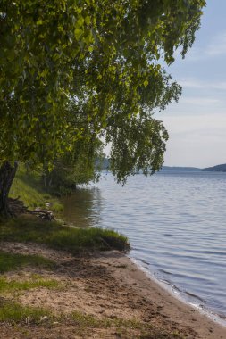 Orta Rusya 'nın yeşil yaz manzarası