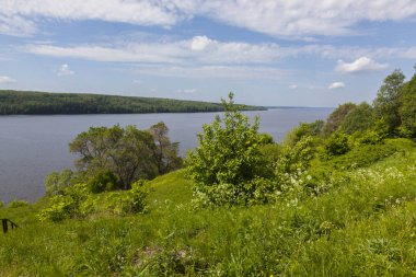 Orta Rusya 'nın yeşil yaz manzarası