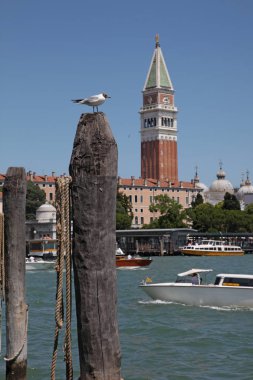 Tekneli ve güneşli Venedik manzarası