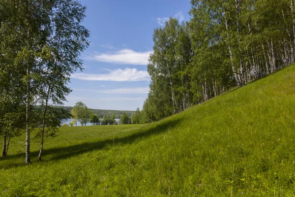 Green Summer Landscape Central Russia — Stock Photo, Image