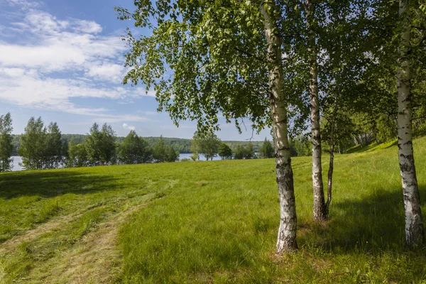 Verde Paesaggio Estivo Della Russia Centrale — Foto Stock