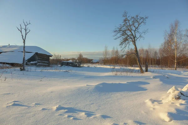 Branco Snowbound Casa Dia Inverno Claro — Fotografia de Stock