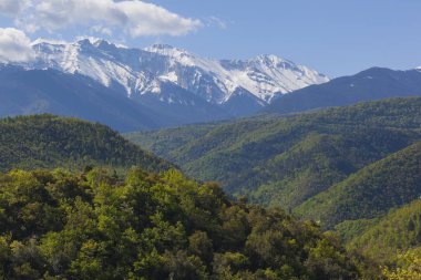 Yunanistan 'daki bahar manzarası mavi gökyüzünde