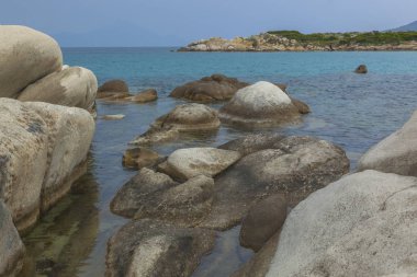 Çam ağaçları ve taş ile deniz plaj