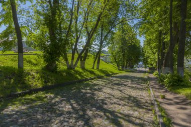 Kostroma şehrindeki ağaçların arasındaki taştan yol