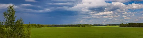 Blue clouds over green field — Stock Photo, Image
