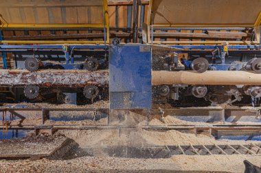 Ahşap işleme sürecinde kütük