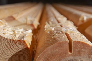 İşlemden sonra taze hazır günlükler