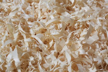 Günlük kaydı arkaplanındaki talaşlar