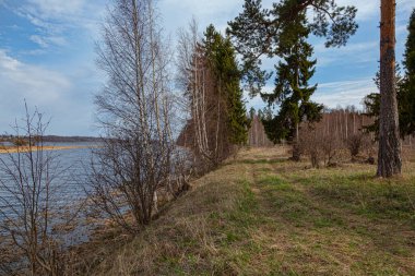 Ormandaki nehir kıyısı, mavi gökyüzü.
