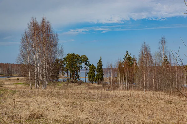 Frühlingslandschaft Mit Bäumen Und Blauem Himmel — Stockfoto
