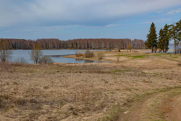 Voorjaarslandschap Met Bomen Blauwe Lucht — Stockfoto