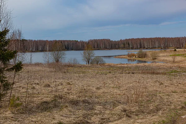 Весняний Пейзаж Деревами Блакитним Небом — стокове фото