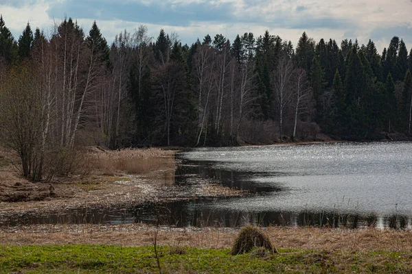 Břeh Řeky Lesní Krajině Modrou Oblohou — Stock fotografie