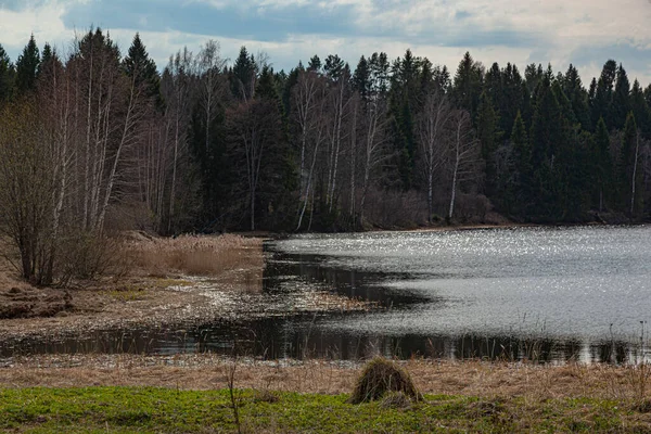 Břeh Řeky Lesní Krajině Modrou Oblohou — Stock fotografie