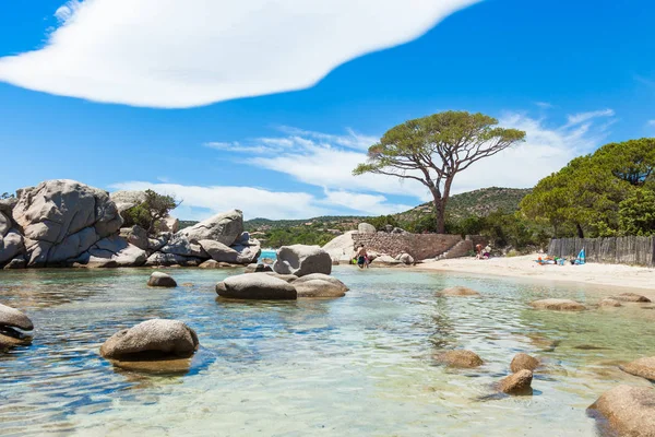 Spiaggia di Palombaggia in Corsica Isola in Francia — Foto Stock