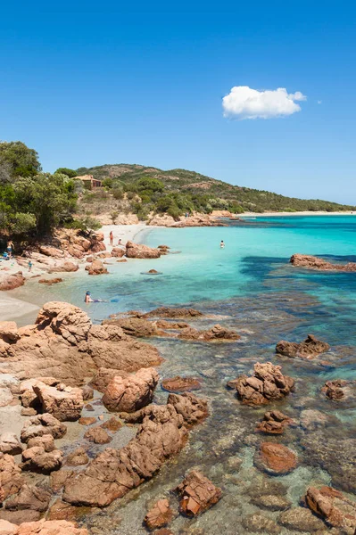 Strand van Rondinara in Corsica Eiland in Frankrijk — Stockfoto
