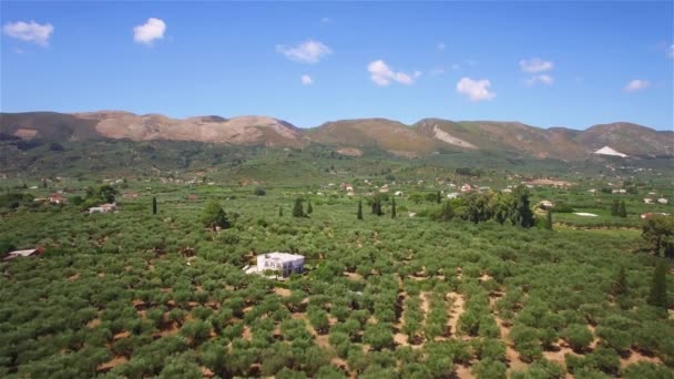 Вид Воздуха Оливковое Поле Острове Закинтос Закинф Греция — стоковое видео