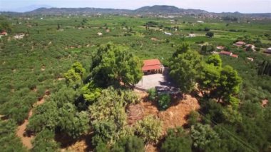 4 k hava manzara zeytin ağacı alanın Zakynthos Zante Island, Yunanistan 