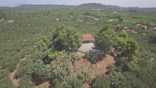 ギリシャのザキントス島ザキントス島でオリーブの木フィールドの空撮ログ — ストック動画