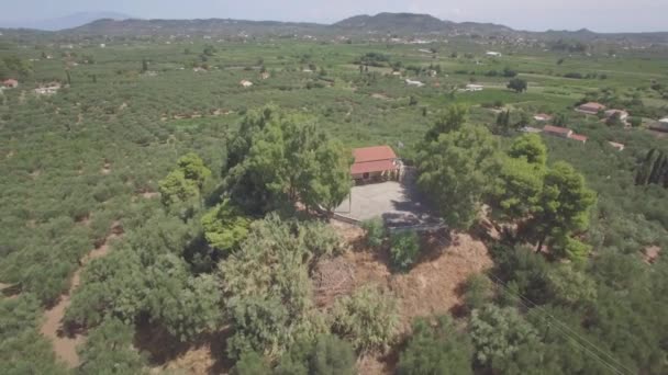 Ongesorteerde Luchtfoto Van Olijfboom Veld Zakynthos Zante Eiland Griekenland Log — Stockvideo