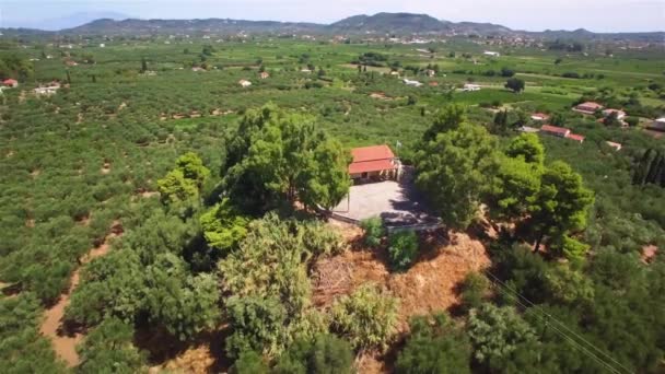 希腊扎金索斯桑特岛岛橄榄树场鸟瞰图 — 图库视频影像