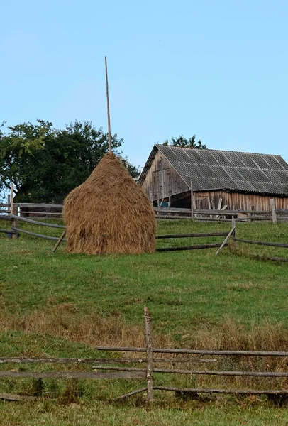 Украинские Карпаты Пейзаж Форелями Метеоритами — стоковое фото