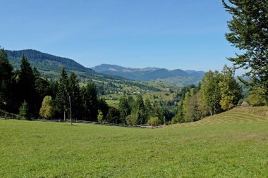 Ukraynalı Karpatlar. Manzara ormanlar ve çayırlarla dolu.
