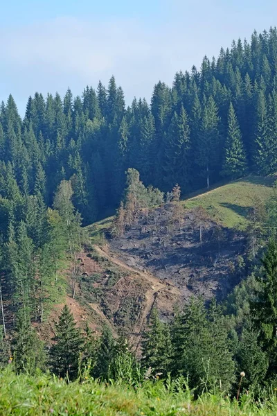 Ukrainische Karpaten Die Landschaft Ist Mit Wäldern Und Wiesen — Stockfoto