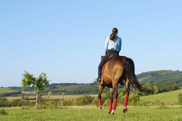 Jovem mulher equitação cavalo — Fotografia de Stock