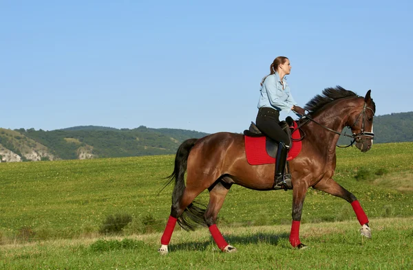 女人骑乘马在草地上 — 图库照片