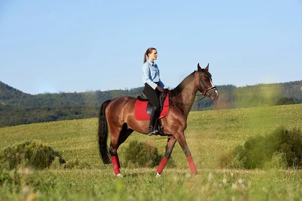 아름 다운 말을 타고 여자 — 스톡 사진