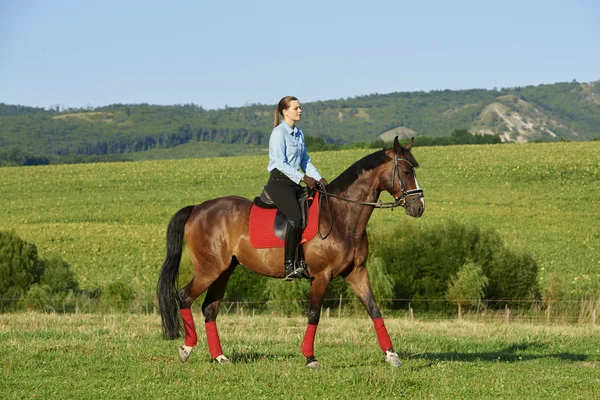 Lady riding horse — Stock Photo, Image