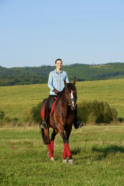 Dáma na koni kůň venku — Stock fotografie
