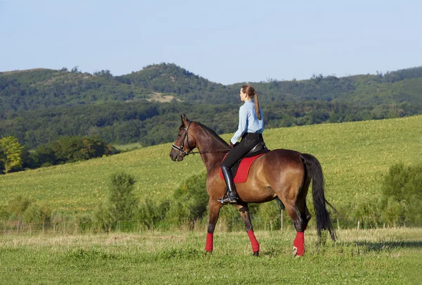 Dama cabalgando caballo fuera — Foto de Stock