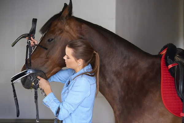 Jinete femenino con caballo deportivo — Foto de Stock