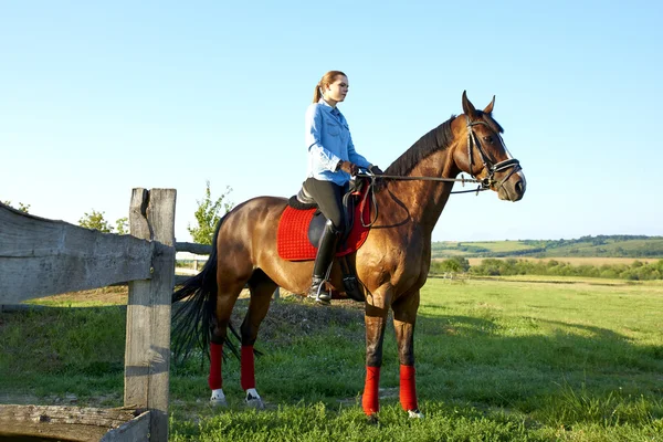 Mulher equitação cavalo no verão — Fotografia de Stock
