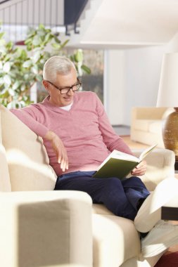 Son sınıf öğrencisi kitap okuyor.