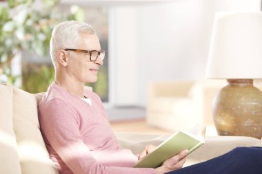 Son sınıf öğrencisi evde kitap okuyor.