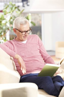 adam evde bir roman okuma