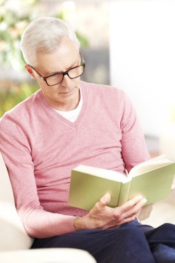 Son sınıf öğrencisi evde kitap okuyor. 